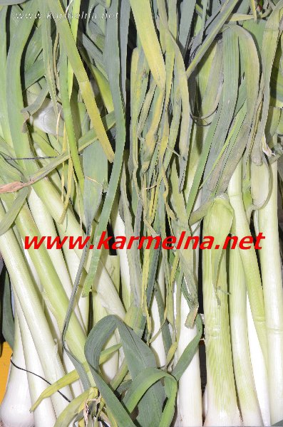 خضار وفواكة ربيع ابو الزلف